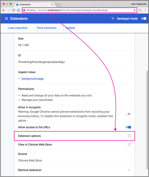 Clicking the Options link on the WorldSpace Attest DevTools extension section of the Chrome Extensions page